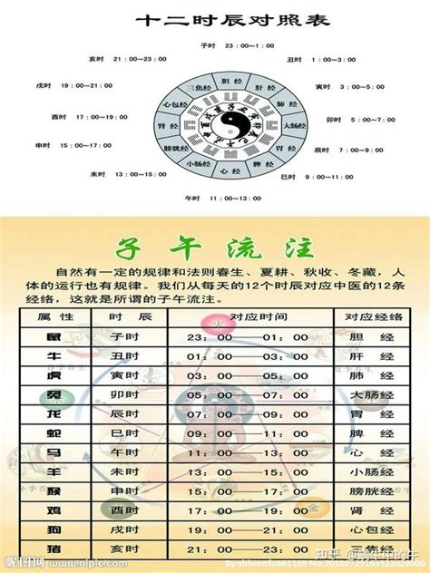 天干地支 時辰|天支地支 十二时辰对照表